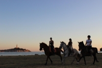 Nova Facebook stranica!